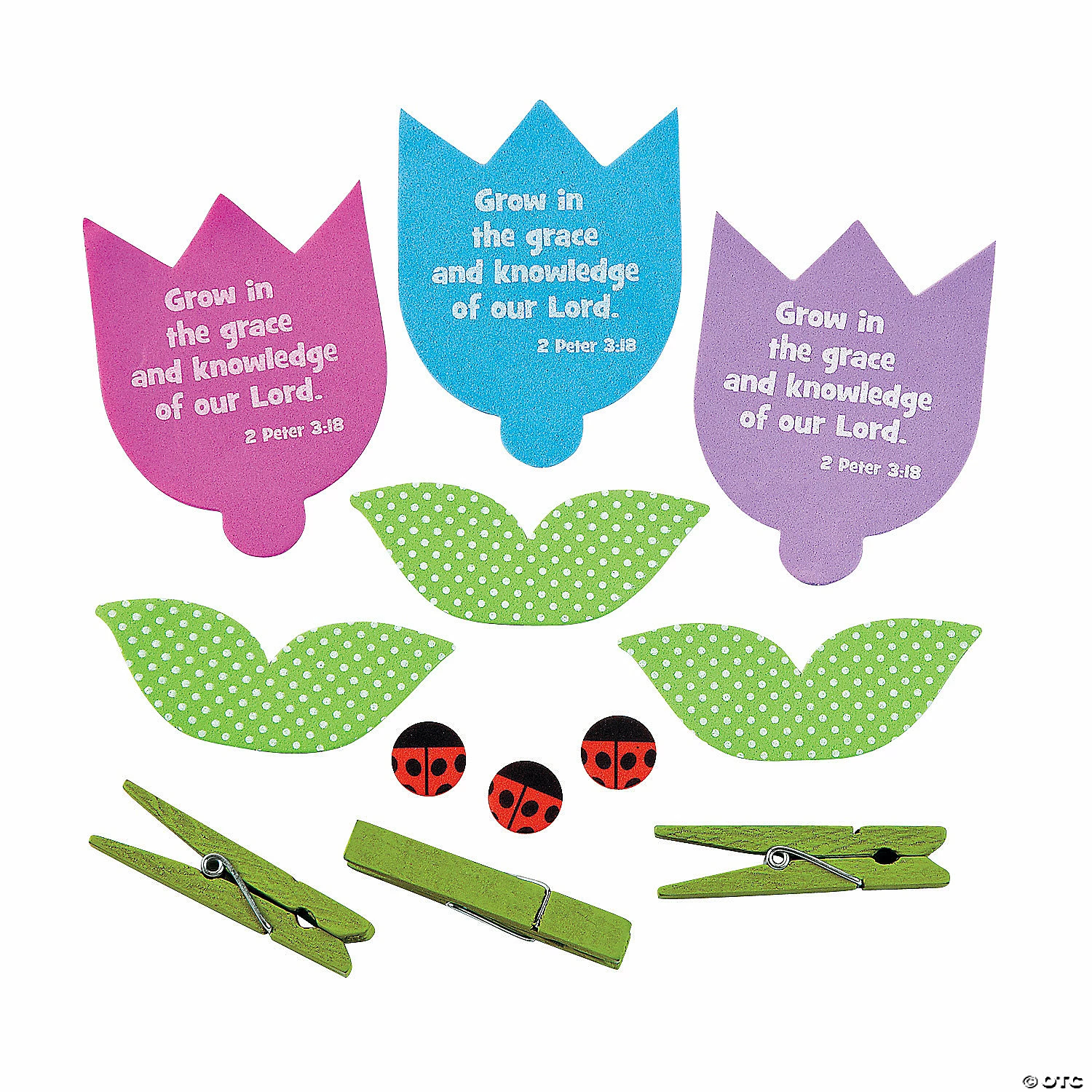 Coupon π 3D Growing in His Word Tulip Craft Kit - Makes 12 π― - Image 2