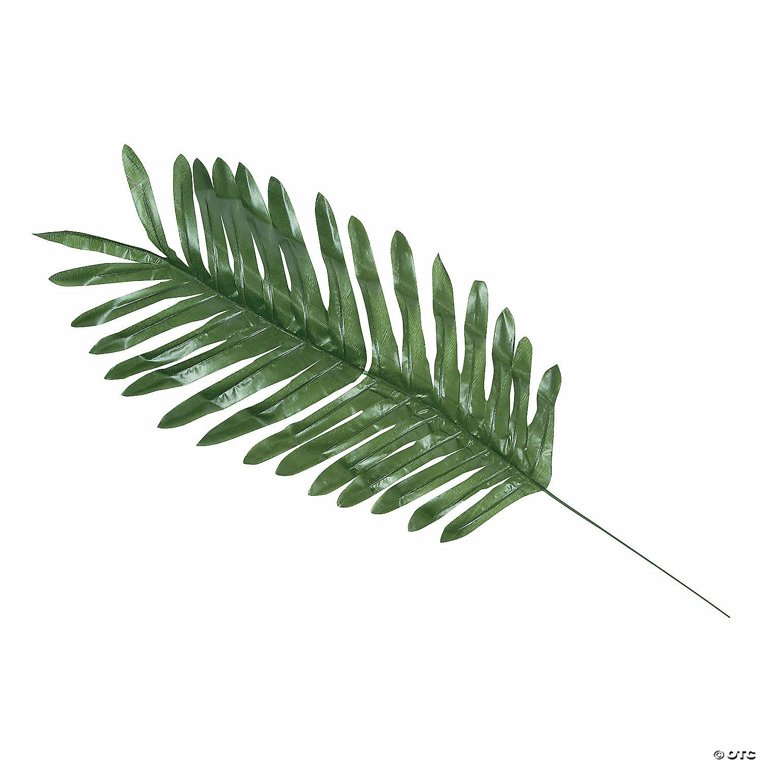 Cheap 𧨠Large Palm Leaves - 12 Pc. π