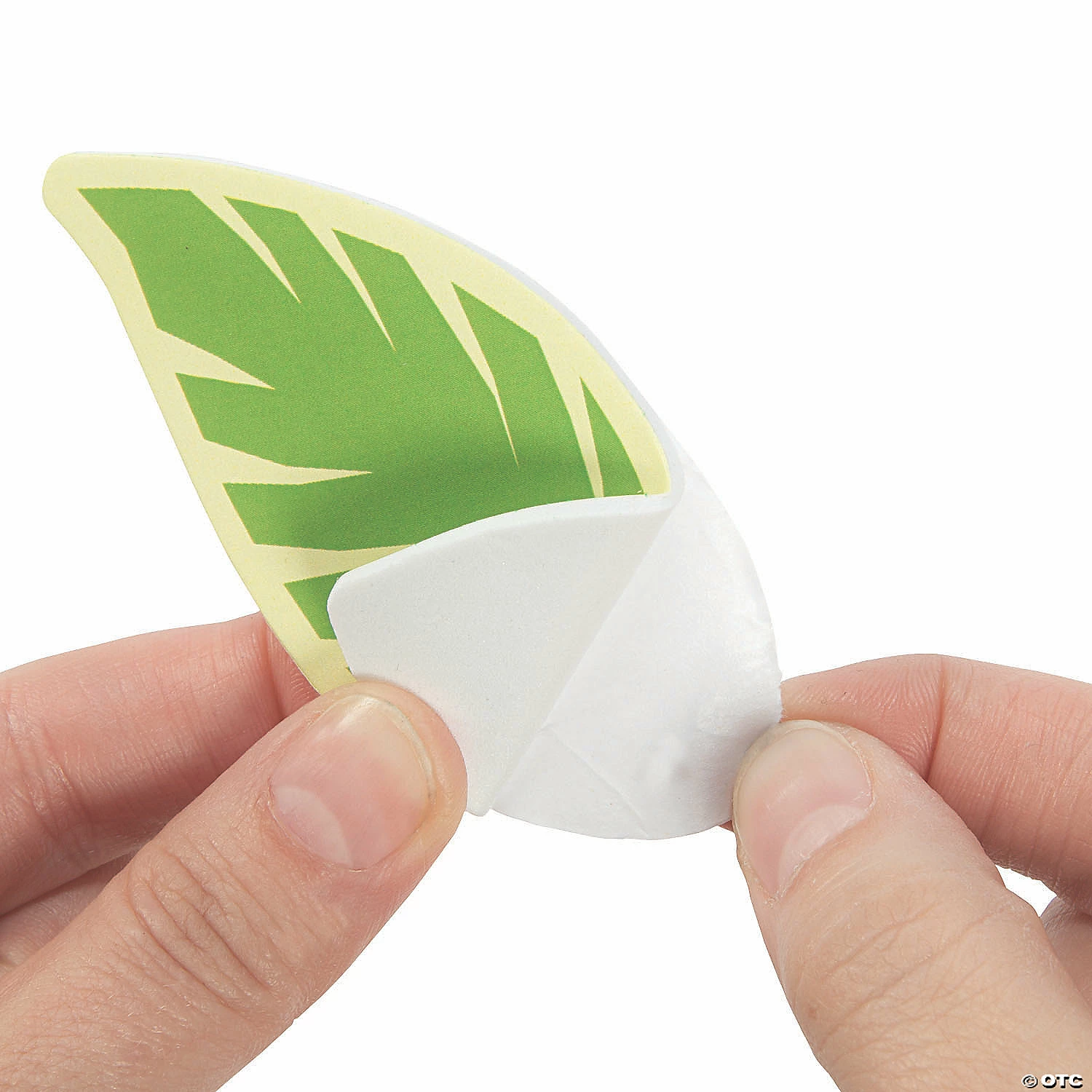 Coupon π― Rainforest VBS Picture Frame Magnet Craft Kit - Makes 12 π - Image 3